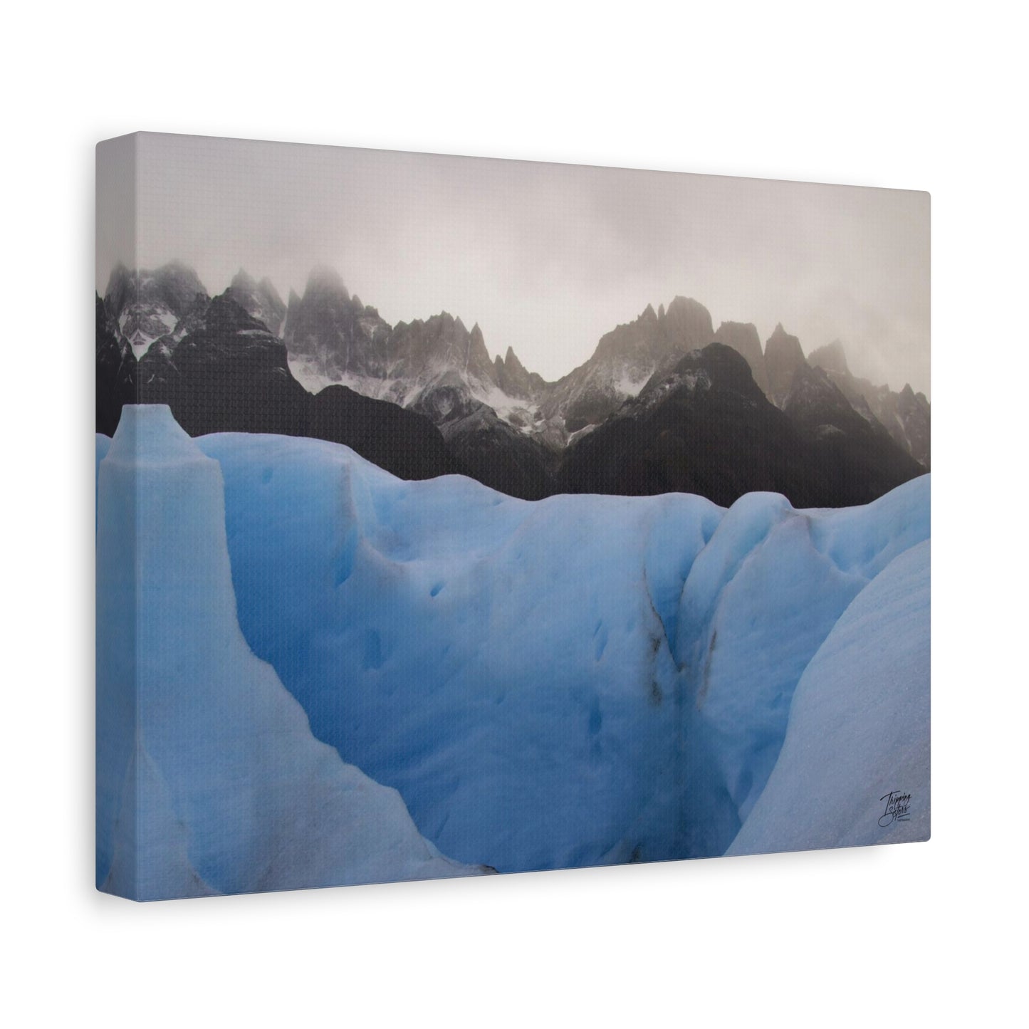 'Walk on the Wild Side' Chile - Matte Canvas, Stretched