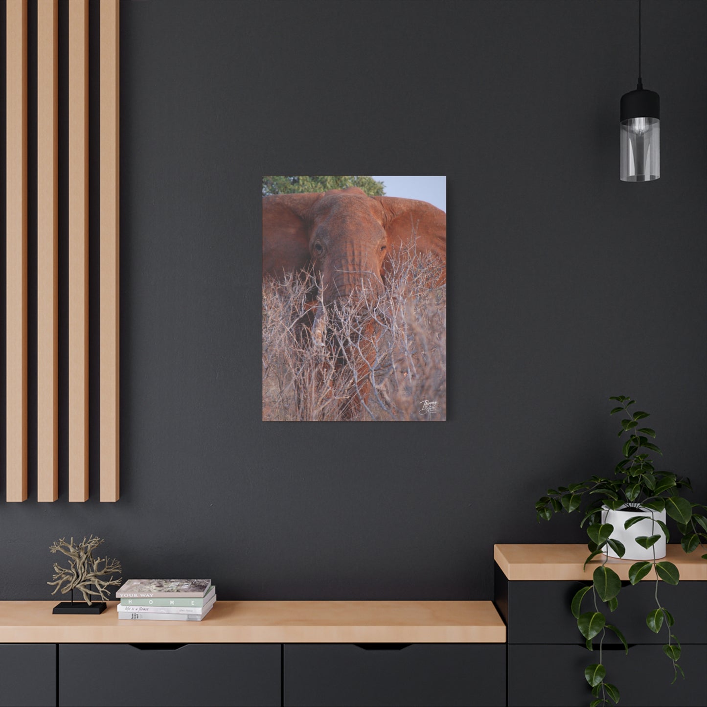 'Tusks' Tsavo, Kenya - Stretched Canvas