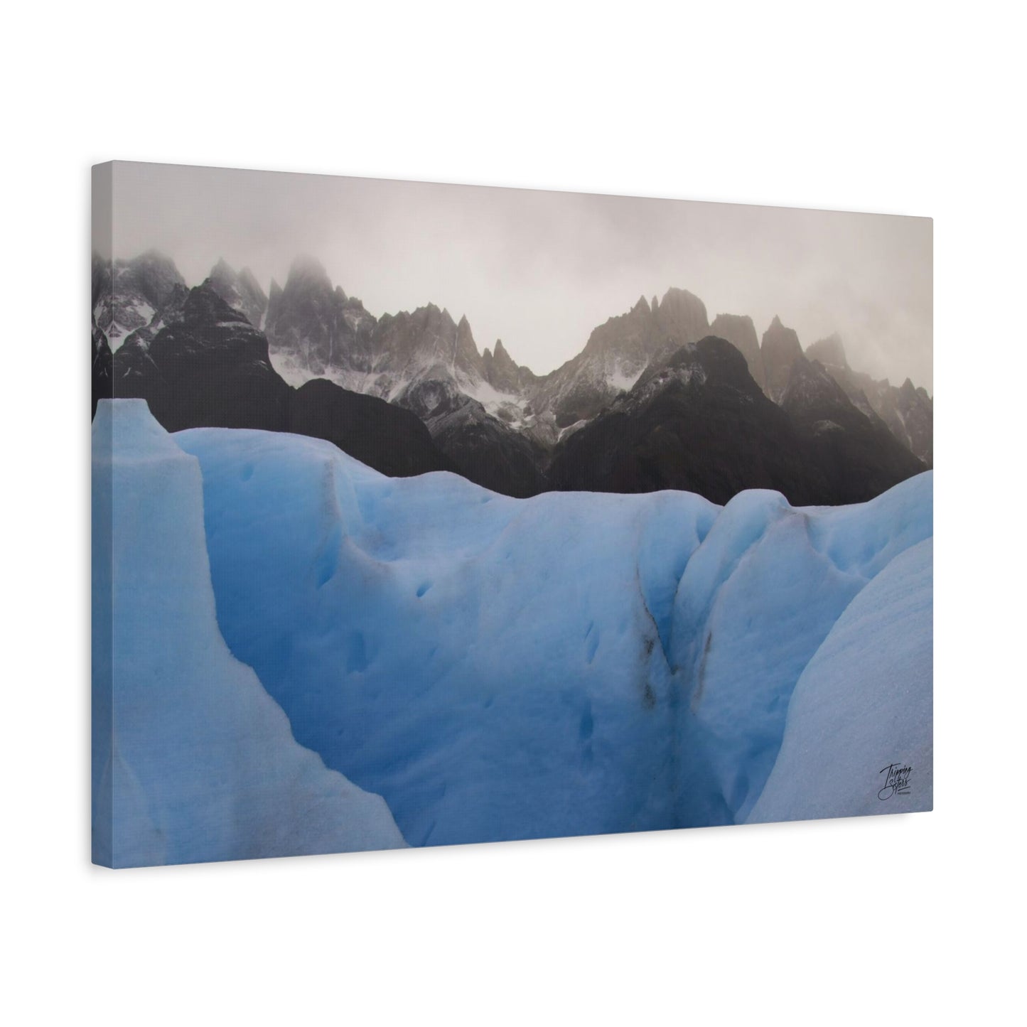 'Walk on the Wild Side' Chile - Matte Canvas, Stretched
