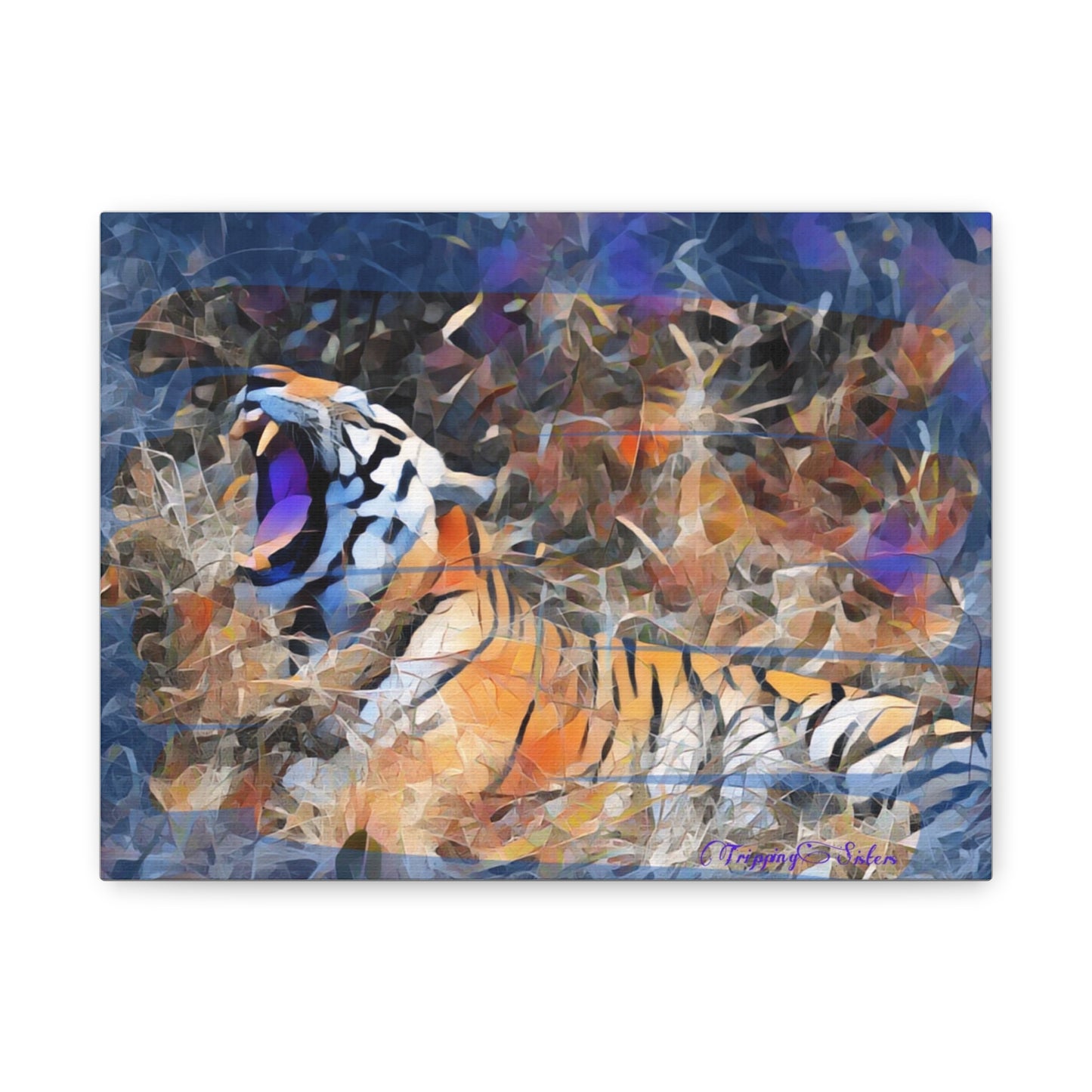 'Blue Tiger'  Madhya Pradesh, India - Stretched Canvas