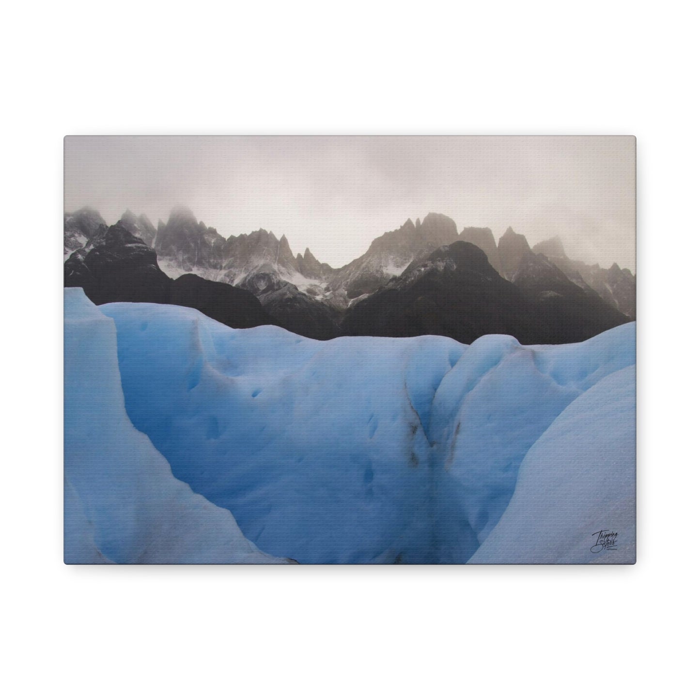 'Walk on the Wild Side' Chile - Matte Canvas, Stretched