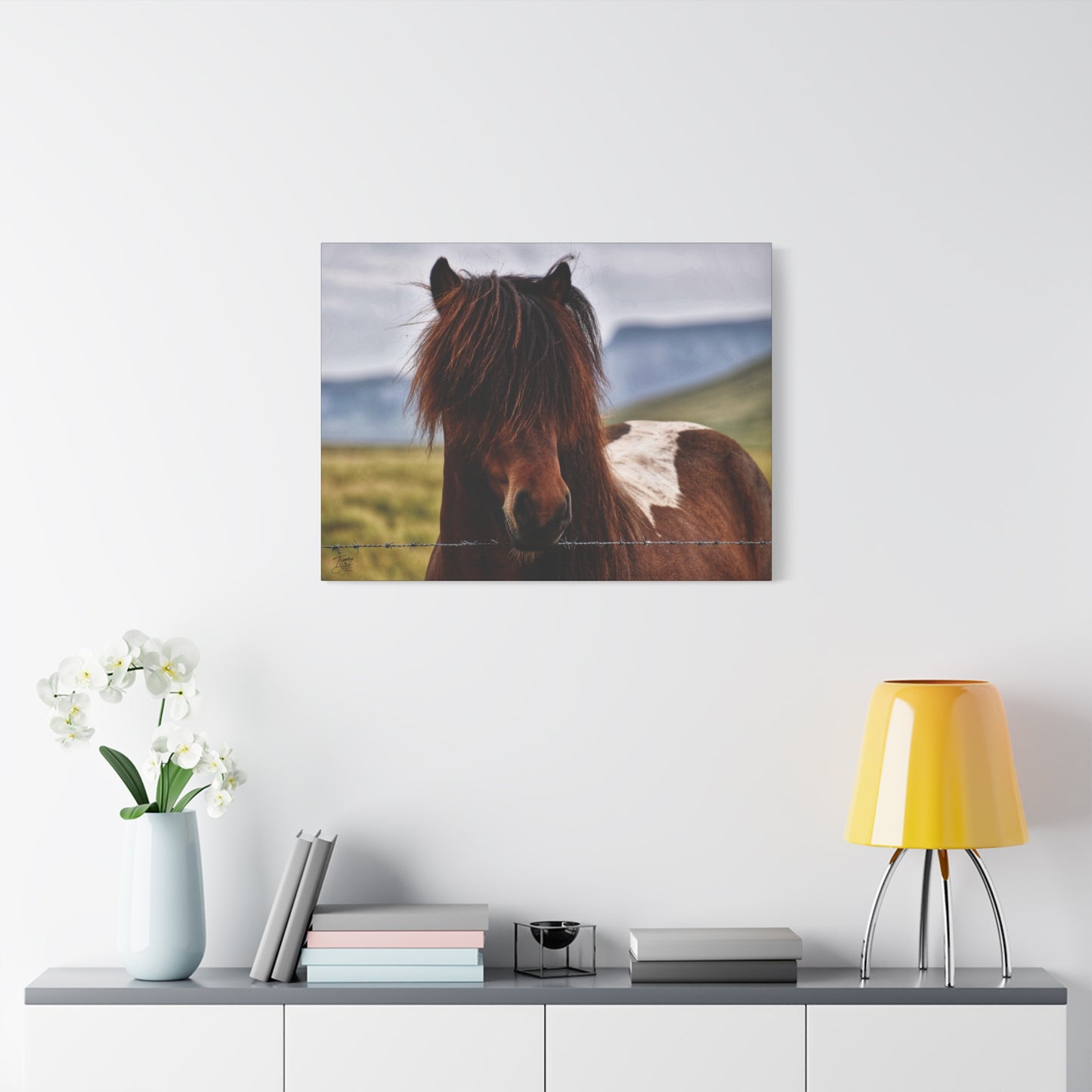 'Icelandic Pony' Iceland - Stretched Canvas