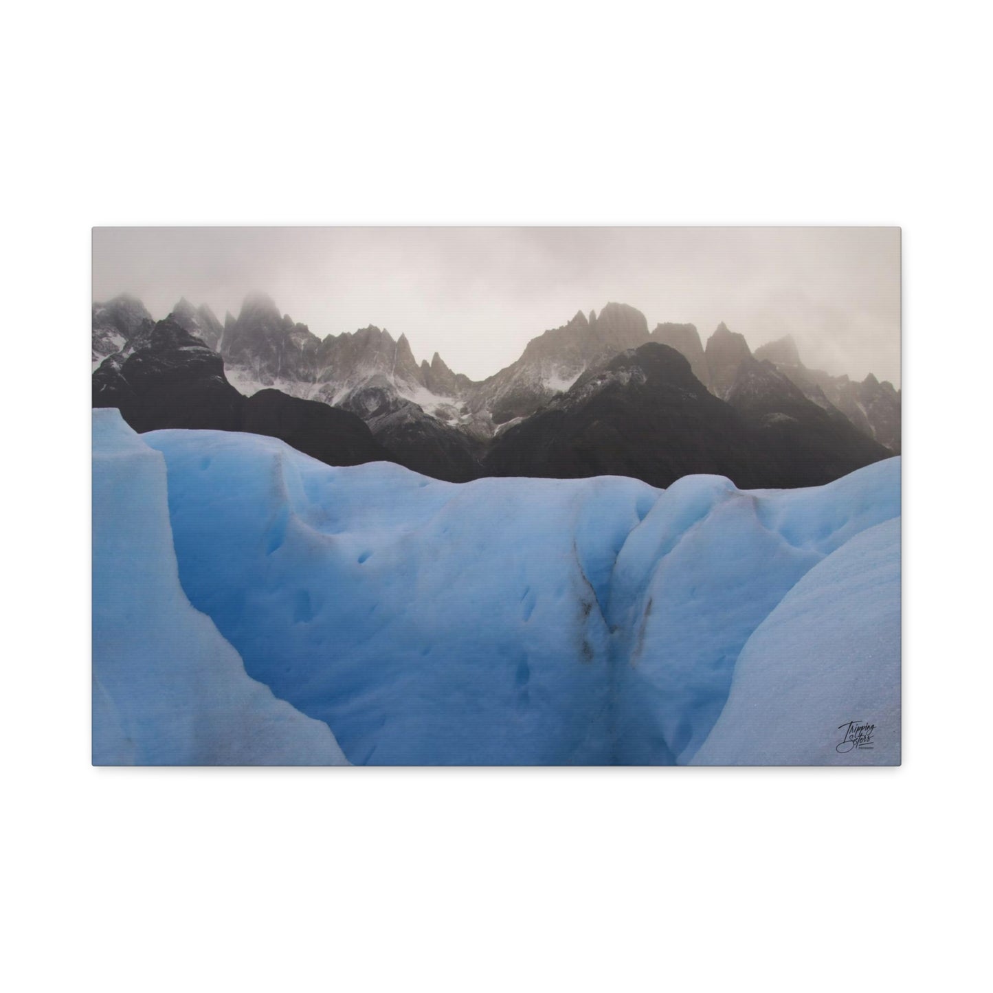 'Walk on the Wild Side' Chile - Matte Canvas, Stretched
