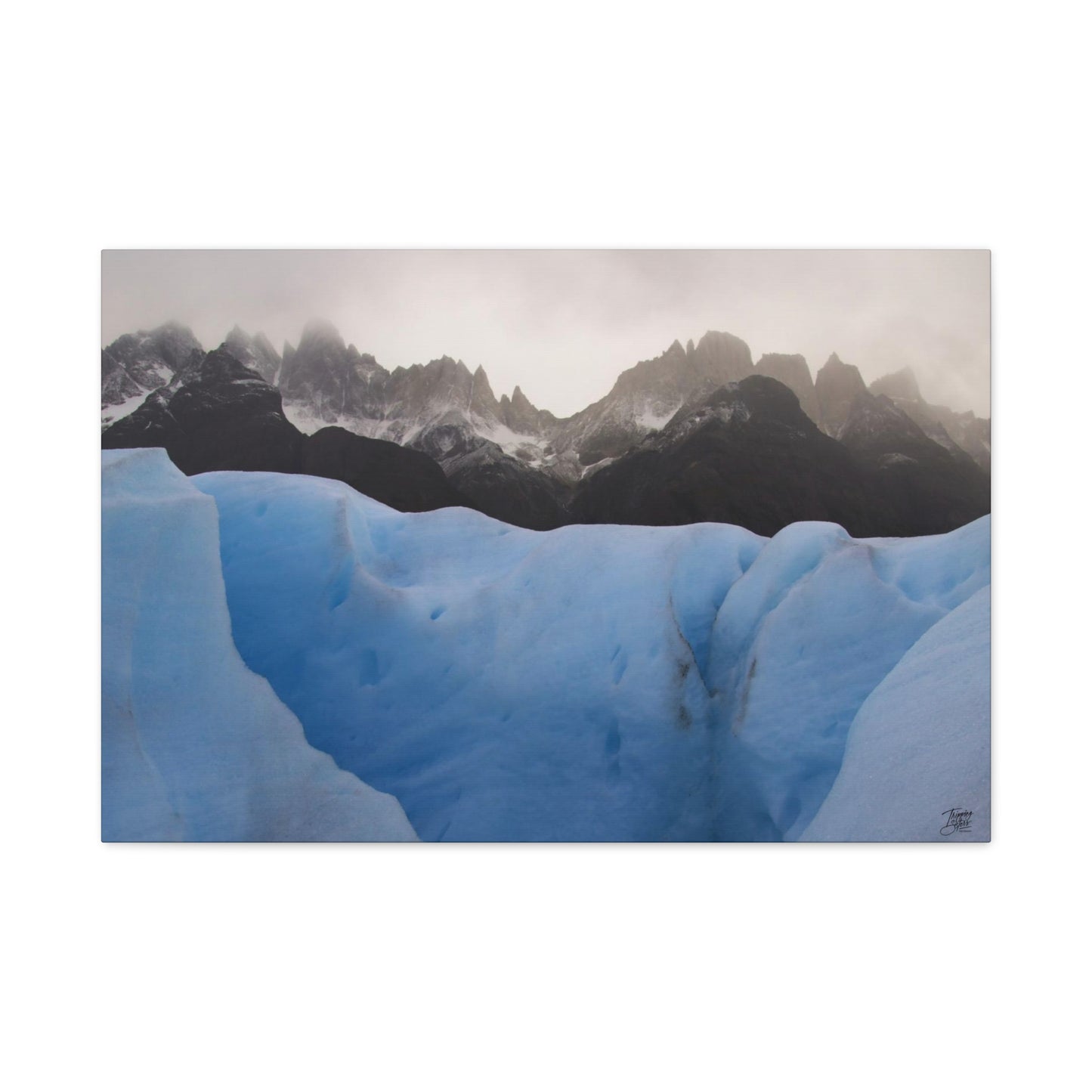 'Walk on the Wild Side' Chile - Matte Canvas, Stretched