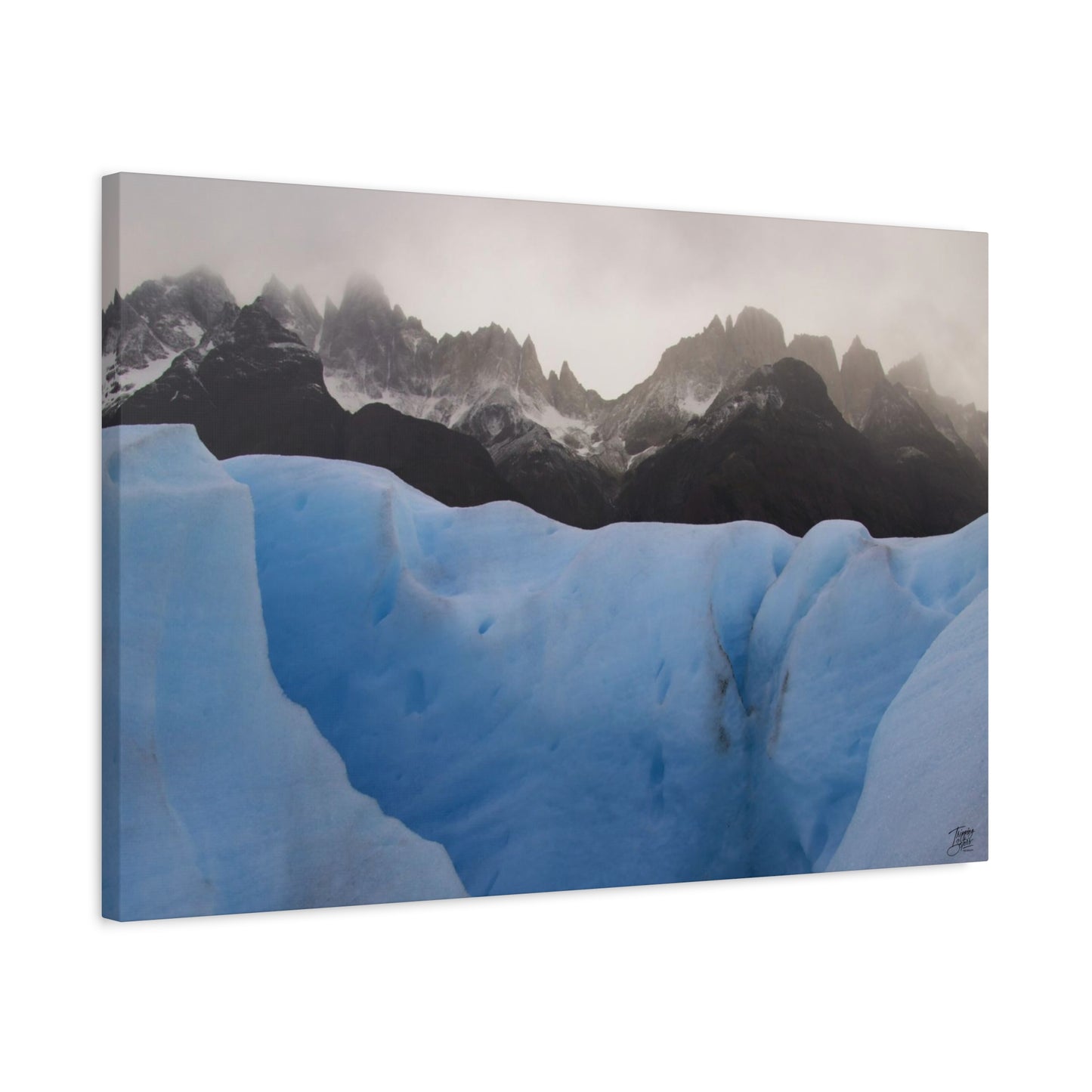 'Walk on the Wild Side' Chile - Matte Canvas, Stretched