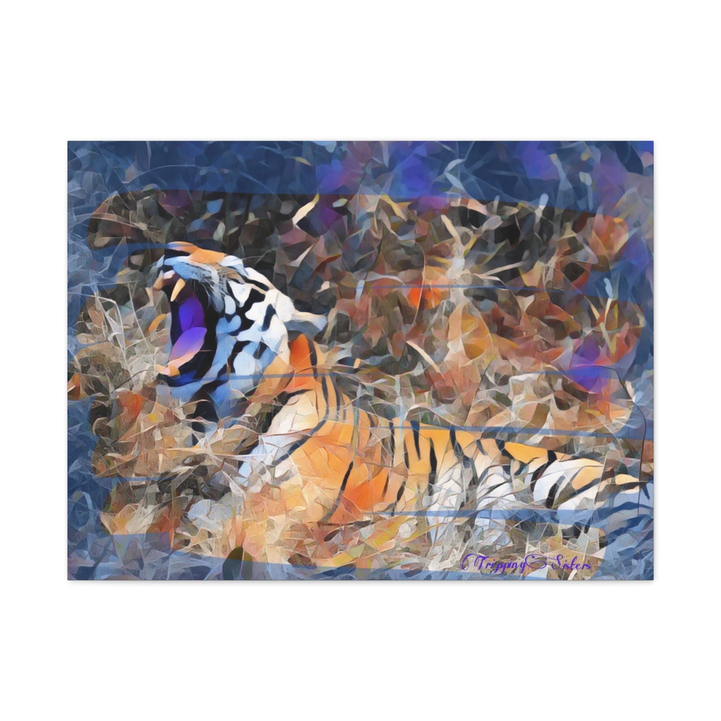 'Blue Tiger'  Madhya Pradesh, India - Stretched Canvas