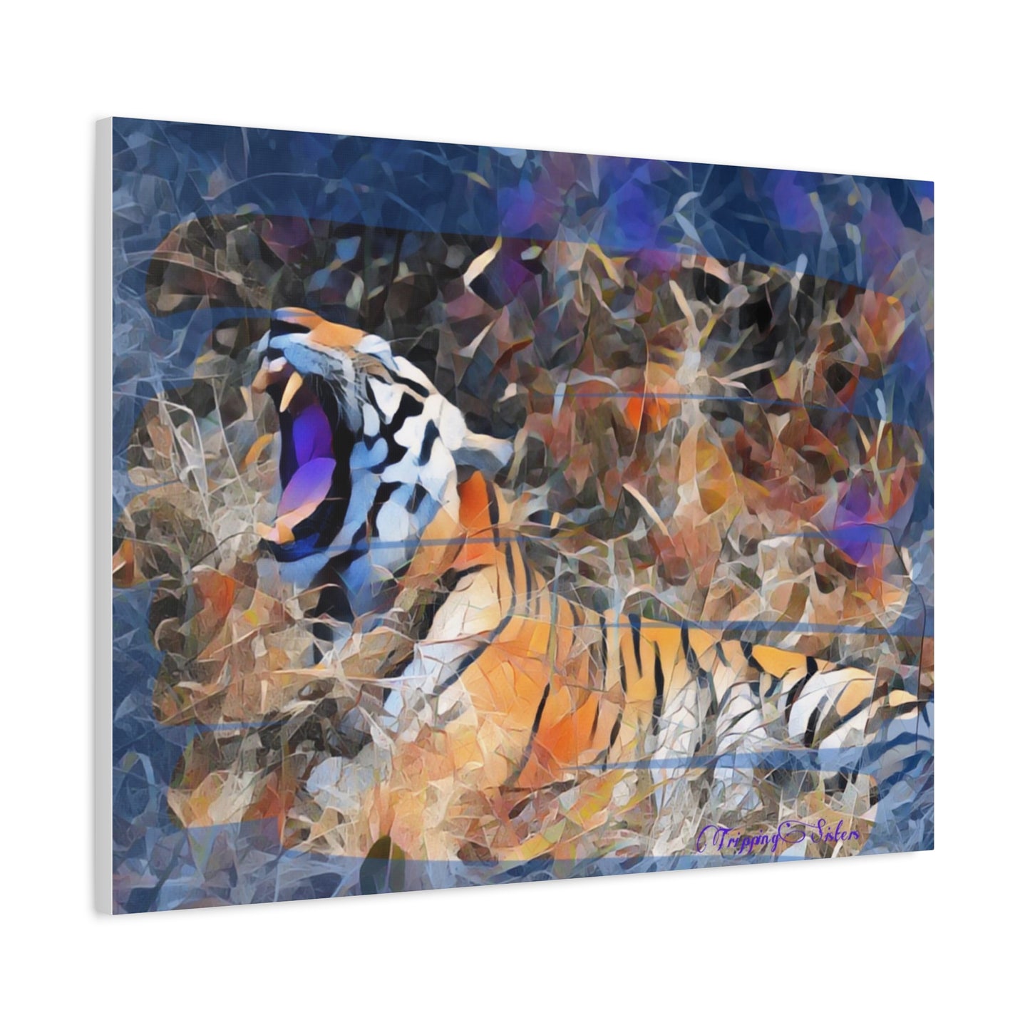 'Blue Tiger'  Madhya Pradesh, India - Stretched Canvas