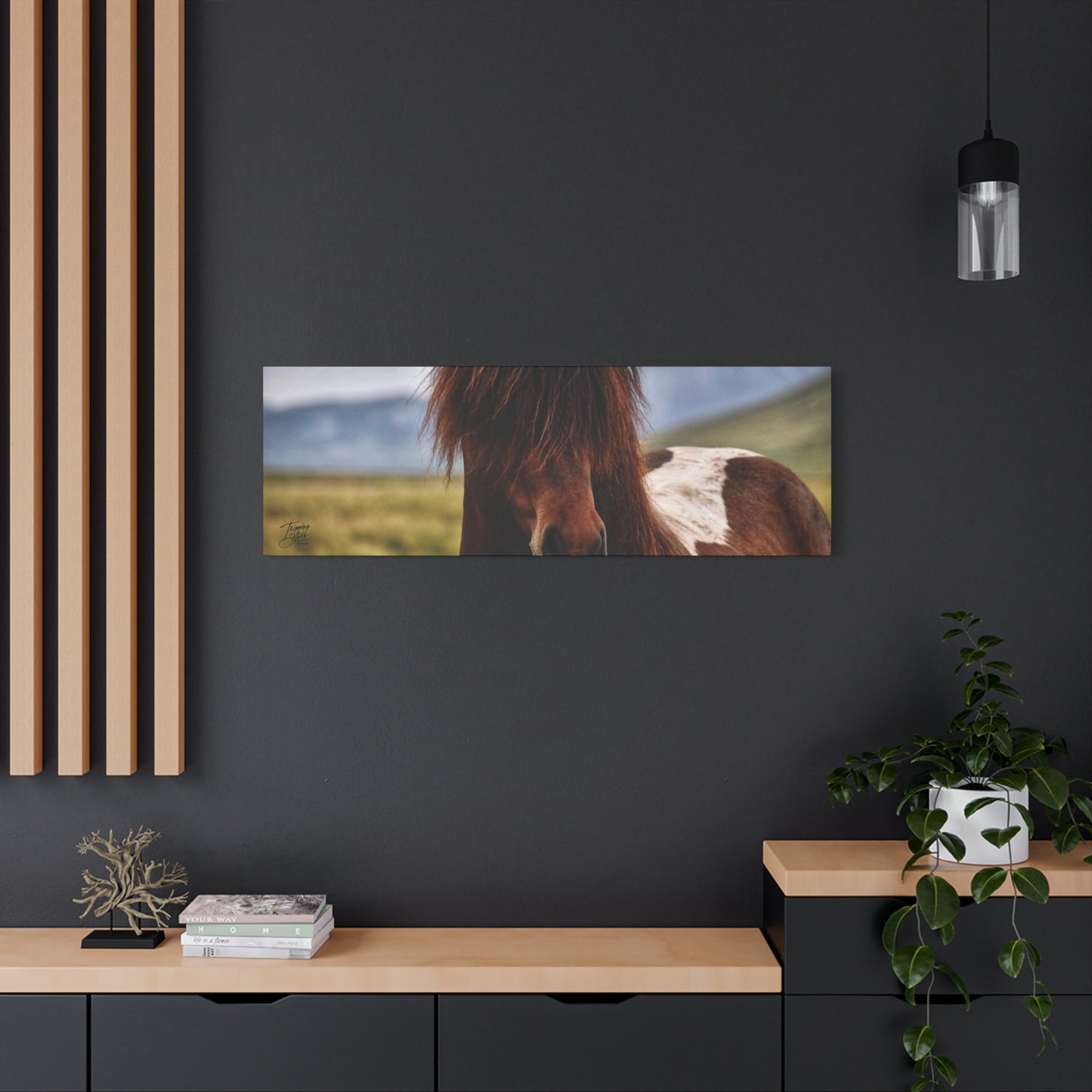 'Icelandic Pony' Iceland - Stretched Canvas