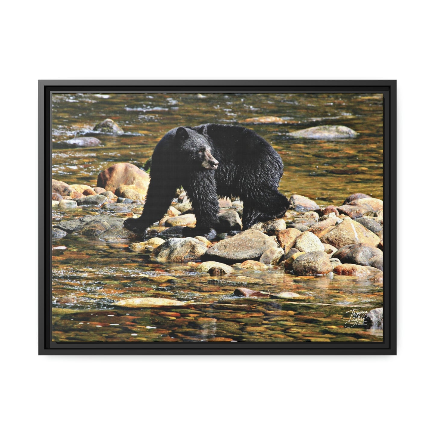 'I See You' Bella Bella, BC  - Gallery Framed Canvas Wrap