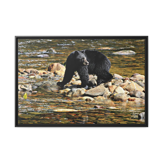 'I See You' Bella Bella, BC  - Gallery Framed Canvas Wrap