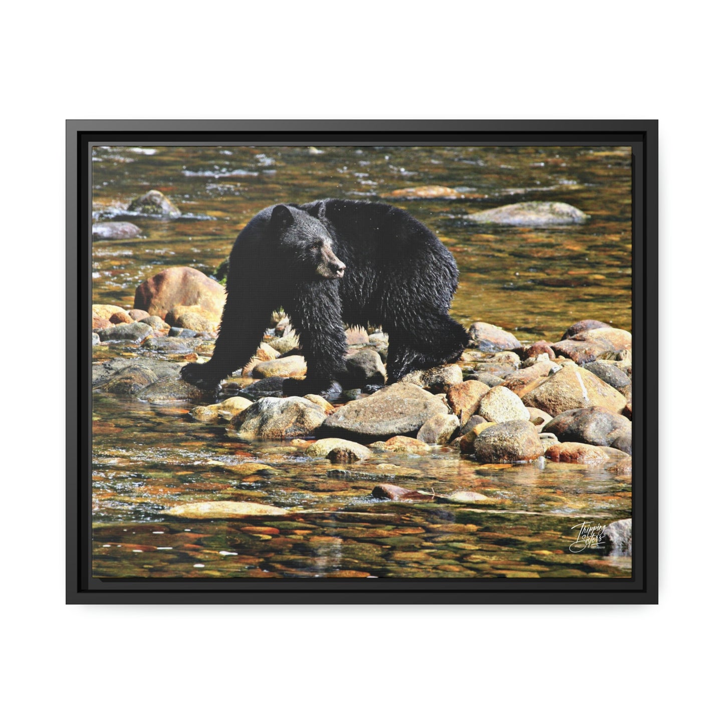 'I See You' Bella Bella, BC  - Gallery Framed Canvas Wrap