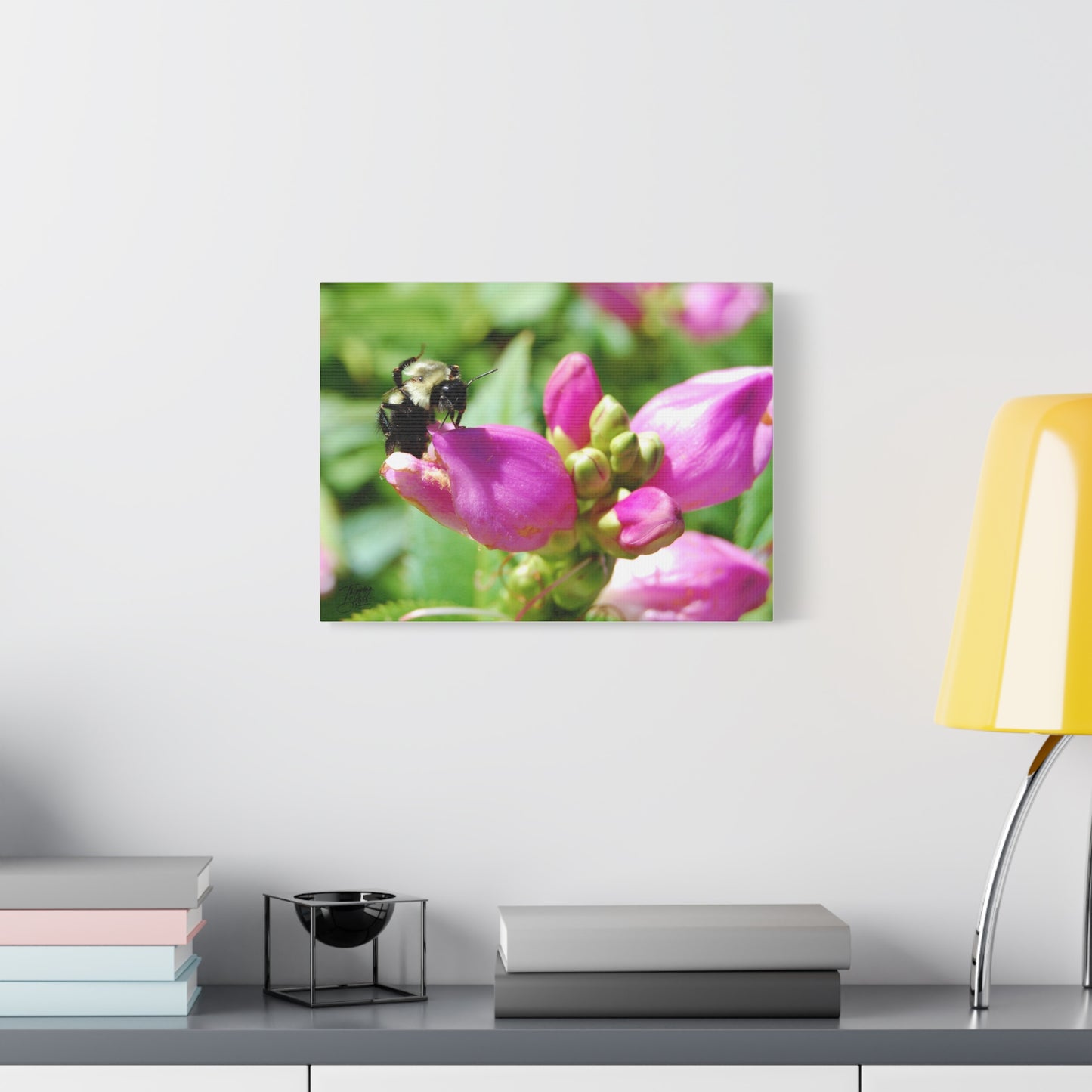 'Fresh Nectar' In a backyard near you - Stretched Canvas