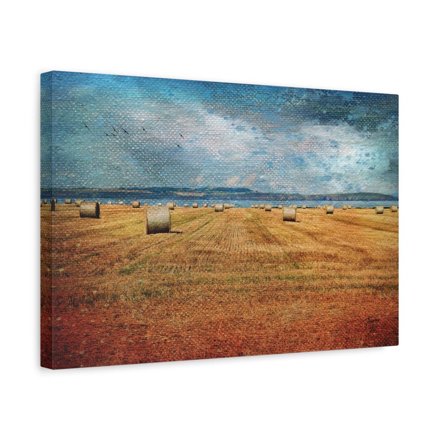 ‘Centre Field’ Hook Head, Ireland - Matte Canvas, Stretched