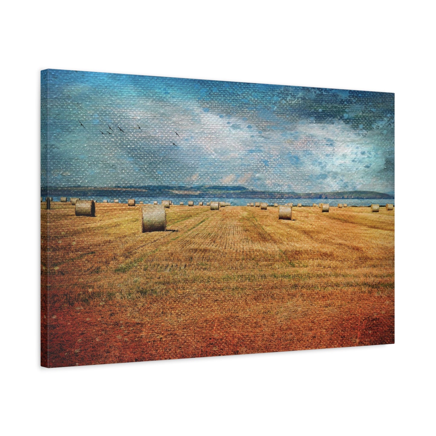 ‘Centre Field’ Hook Head, Ireland - Matte Canvas, Stretched