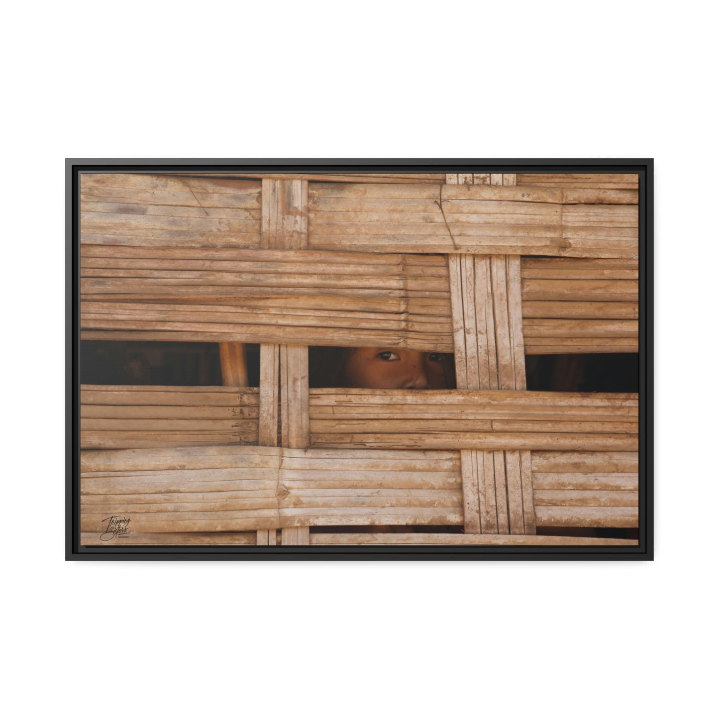 'Curiosity' Loas  - Gallery Framed Canvas Wrap