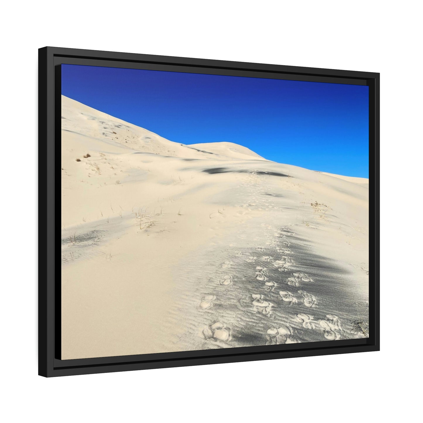 'Footsteps' Mojave Dunes, California  - Gallery Framed Canvas Wrap - Horizontal