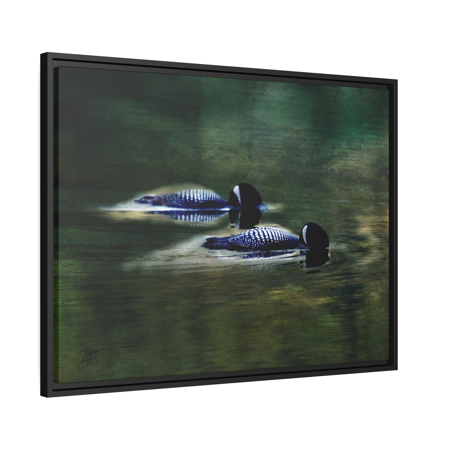 'Synchronicity' - Gallery Framed Canvas Wrap