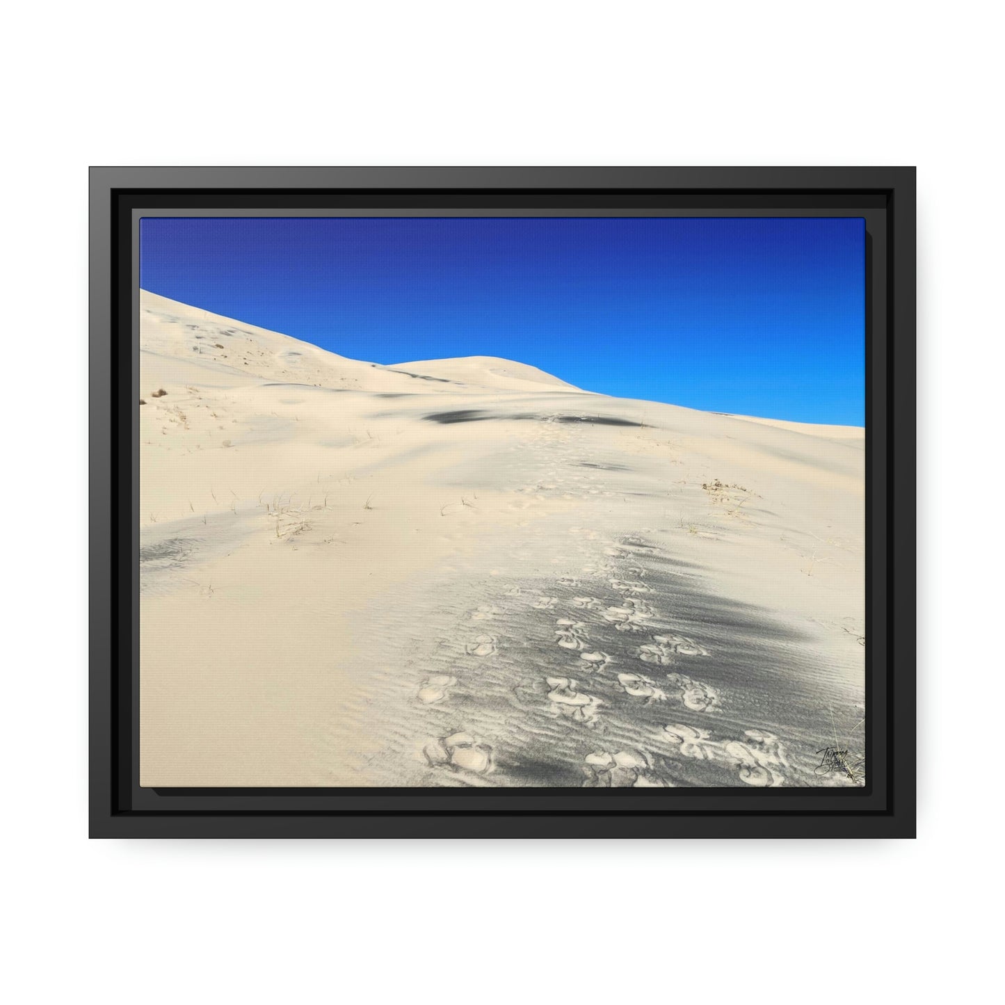 'Footsteps' Mojave Dunes, California  - Gallery Framed Canvas Wrap - Horizontal